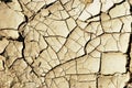 Dry earth background texture Royalty Free Stock Photo