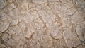 Dry earth background texture Royalty Free Stock Photo