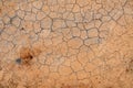 Dry earth background. Top view. Royalty Free Stock Photo