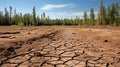 Dry earth contrasted with untouched forest Royalty Free Stock Photo