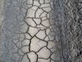 Dry earth covered with small cracks as drought and global warming concept. Cracked clay soil texture or ground pattern with cracks Royalty Free Stock Photo