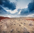 Dry earth and overcast sky Royalty Free Stock Photo