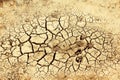 Dry earth Royalty Free Stock Photo