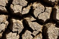 Dry earth texture Royalty Free Stock Photo