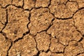 Dry earth texture Royalty Free Stock Photo