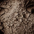 dry earth texture background Royalty Free Stock Photo