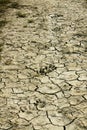 Dry earth in tuscany coubtryside Royalty Free Stock Photo