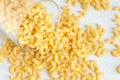 Dry elbow macaroni pasta