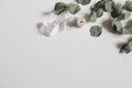 Dry eucalyptus tree leaves, branches and silk ribbon isolated on white table background. Green trendy foliage. Minimal