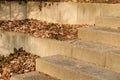 Dry fallen leaves lying on concrete steps Royalty Free Stock Photo