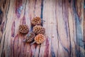 Dry fallen seeds of Casuarina equisetifolia (Common ironwood) fr Royalty Free Stock Photo