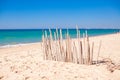 Dry fence of reeds on a deserted coast in Faro,