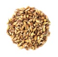 Dry fenugreek seeds on a white background. Close-up macro shot of fenugreek spice. Royalty Free Stock Photo