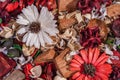 Dry field flowers. Top view- flat still life