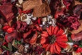 Dry field flowers. Top view- flat still life