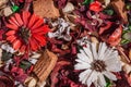 Dry field flowers. Top view- flat still life