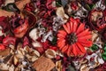 Dry field flowers. Top view- flat still life