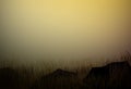 Dry field grass with stones, prairie drought landscape, savanna dry hot evening landscape, Royalty Free Stock Photo