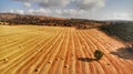 Dry field in a hot summer day