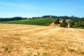 Dry Field and Vineyards