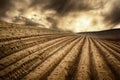 Dry fields in a dramatic light Royalty Free Stock Photo