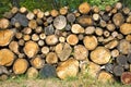 Dry firewood laid in a heap Royalty Free Stock Photo