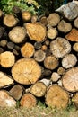 Dry firewood laid in a heap for kindling the furnace Royalty Free Stock Photo