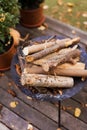 Dry firewood logs in metal fireplace