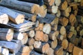 Dry firewood in a pile for furnace kindling Royalty Free Stock Photo