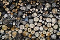 Dry firewood stacked in a pile, chopped wood for winter heating fuel of the fireplace. Natural wood background.