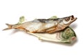 Dry fish Royalty Free Stock Photo