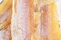 Dry fish. Dried fish background texture. Dried ballerus