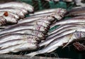 Dry Fish Royalty Free Stock Photo