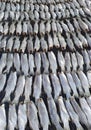 close up dry fish in food shop Royalty Free Stock Photo
