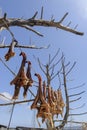 Dry fish formentera Royalty Free Stock Photo