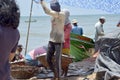 Dry fish processing area on the beach at fish market at Negombo. rows of drying fish that w Royalty Free Stock Photo