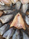 Dry fish