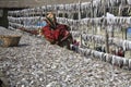 Dry fish village in Cox's Bazar, Bangladesh