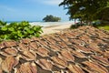 Dry fish Royalty Free Stock Photo