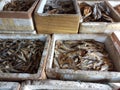 dry fishes for sale in a rural fish market Royalty Free Stock Photo