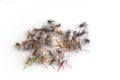 Dry flies for fishing on a white background Royalty Free Stock Photo