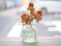 Dry flower in the glass