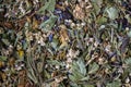 Dry flower and herbal tea leaves on background. Herbal collection of chamomile, cornflower, mint, lemongrass, wild rose and linden