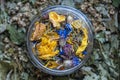Dry flower and herbal tea leaves in a glass jar. Herbal collection of chamomile, cornflower, mint, sea buckthorn, lemongrass, wild