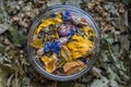 Dry flower and herbal tea leaves in a glass jar. Herbal collection of chamomile, cornflower, mint, sea buckthorn, lemongrass, wild