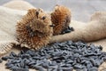 Dry flower and sunflower seeds on a sacking Royalty Free Stock Photo