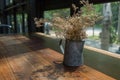 Dry flower on a table by the window. Royalty Free Stock Photo