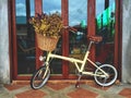 Dry flowers in basket and cute bicycle on the nice floor
