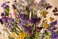 Dry flowers bouquet close up. Closeup variety of dried plants