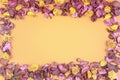 Dry flowers composition on colorful background. Frame made of dried flowers and leaves. Top view, flat lay. Royalty Free Stock Photo